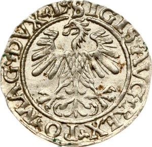 Lithuania Polgrosz 1560 Vilnius