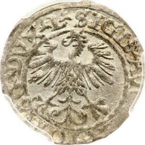 Lithuania Polgrosz 1560 Vilnius PCGS MS 62