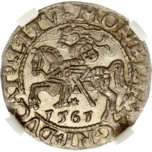 Lithuania Polgrosz 1561 NGC MS 63