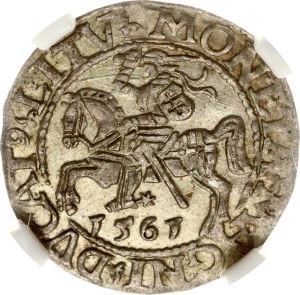 Lithuania Polgrosz 1561 NGC MS 63