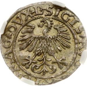 Lithuania Polgrosz 1561 NGC MS 63