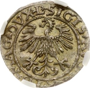 Lithuania Polgrosz 1561 NGC MS 63