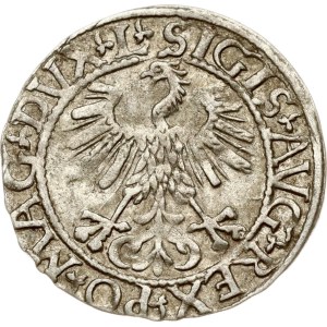Lithuania Polgrosz 1561 Vilnius