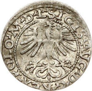 Lithuania Polgrosz 1564 Vilnius