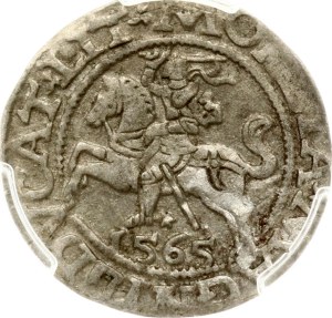 Lithuania Polgrosz 1565 Vilnius (RR) PCGS AU 55 MAX GRADE