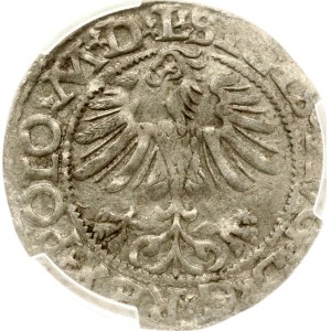 Lithuania Polgrosz 1565 Vilnius (RR) PCGS AU 55 MAX GRADE