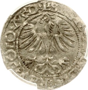 Lithuania Polgrosz 1565 Vilnius (RR) PCGS AU 55 MAX GRADE