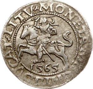 Lithuania Polgrosz 1565 Vilnius