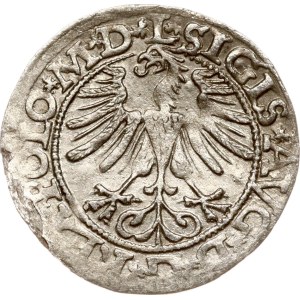 Lithuania Polgrosz 1565 Vilnius