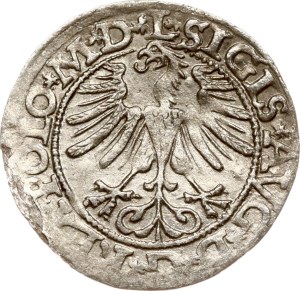 Lithuania Polgrosz 1565 Vilnius