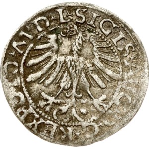 Lithuania Polgrosz 1565 Vilnius REXPOLO Rare Type