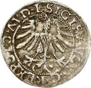 Lithuania Polgrosz 1565 Vilnius REXPOLO Rare Type