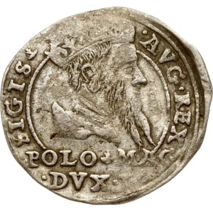 Lithuania Grosz 1567 Tykocin