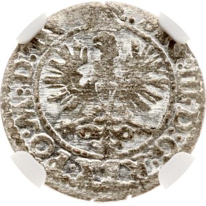 Lithuania Szelag 1623 Vilnius NGC MS 64