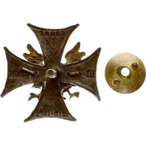 Lithuania Badge Lithuanian-Belarus front 1919-1920