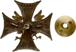 Lithuania Badge Lithuanian-Belarus front 1919-1920