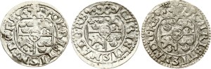 Livonia Swedish Poltorak 1648 Riga Lot of 3 coins
