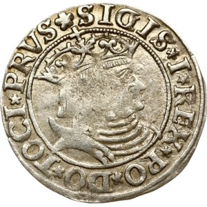 Poland Grosz 1531 Torun
