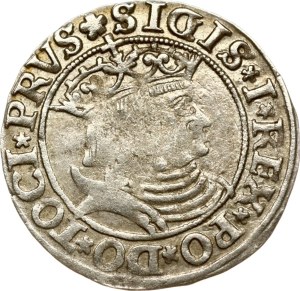 Poland Grosz 1531 Torun
