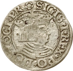 Poland Grosz 1534 Gdansk