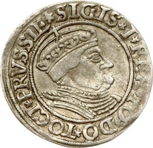 Poland Grosz 1534 Torun