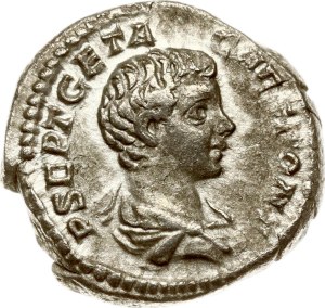 Roman Empire Denarius ND (200-202)