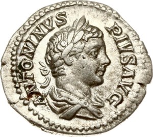 Roman Empire Denarius ND (201-210)