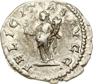 Roman Empire Denarius ND (202-210)