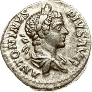 Roman Empire Denarius ND (205)
