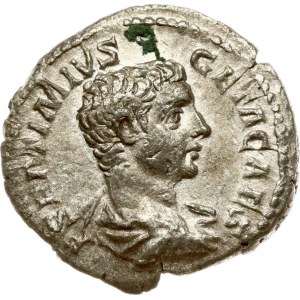 Roman Empire Denarius ND (209)