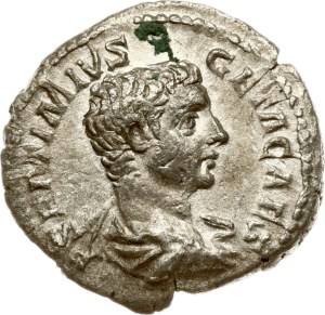 Roman Empire Denarius ND (209)