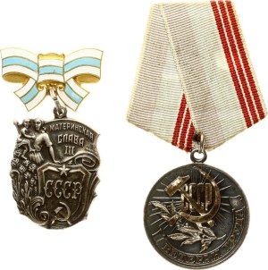 Russia USSR Medal Veteran of Labor & Order Lot of 2 pcs