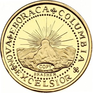 USA Brasher Doubloon 1787 Copy!