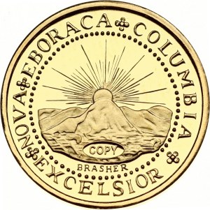 USA Brasher Doubloon 1787 Copy!
