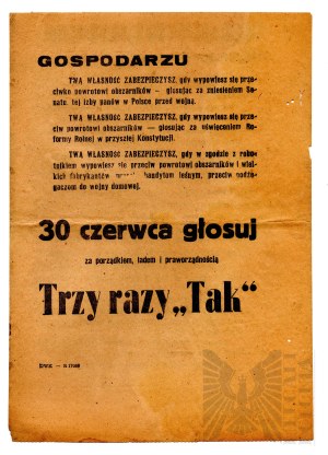 PRL Referendum Flyer Three Times Yes