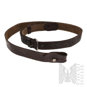 II RP Coalition to the Main Belt wz.24 Or wz.36