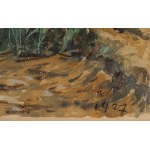 Soter JAXA-MAŁACHOWSKI (1867-1952), Widok z Orłowa (1927)
