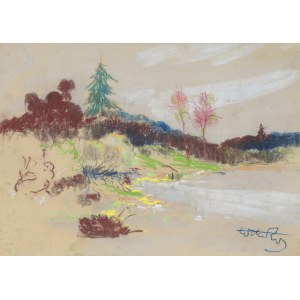 Wiktor ZIN (1925-2007), Pod lasem