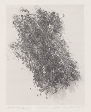 Teresa Murak (b. 1949, Kiełczewice), 