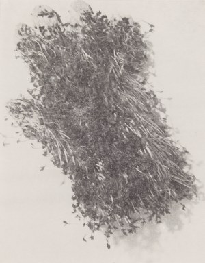 Teresa Murak (b. 1949, Kiełczewice), 