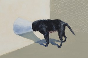 Agata Kus (b. 1987, Krosno), 
