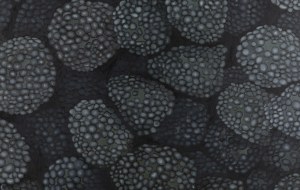 Karolina Konopka (b. 1995, Swietochlowice), 
