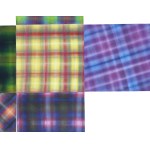 Kinga Popiela (ur. 1991), Checked #1, 2024-25