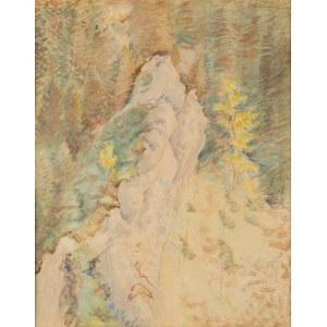 Julia Łucja Stabrowska (1895 - 1974 ), Skała w Dolinie Białych