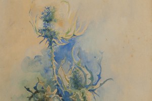Zofia Tyszkiewicz (1881 - 1941 ), Osty