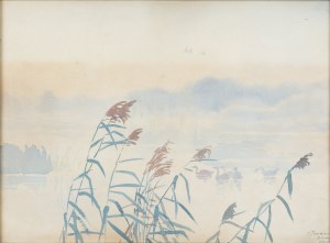 Zofia Stankiewicz (1862 Ryzhiv, Ukraine - 1955 Warsaw), Lake in the morning mist, 1926