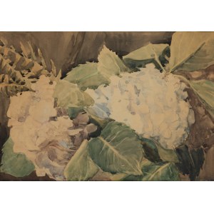Maria Blomberg-Mrozowska (1883 Warszawa - 1956 Warszawa), Hortensje, 1939