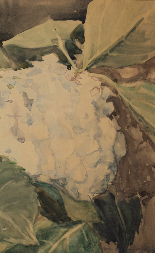 Maria Blomberg-Mrozowska (1883 Warszawa - 1956 Warszawa), Hortensje, 1939