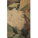 Maria Blomberg-Mrozowska (1883 Warszawa - 1956 Warszawa), Hortensje, 1939