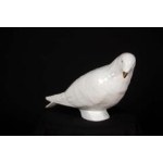 Sylwia Walania-Telega ( 1995 ), White Dove, 2023